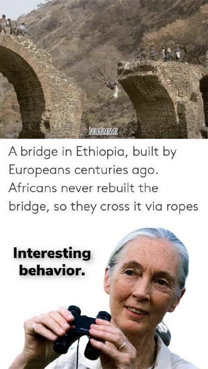 A bridge in Ethiopia built by Europeans centuries ago Africans never rebuilt the bridge so they cross it via ropes Interesting behavior