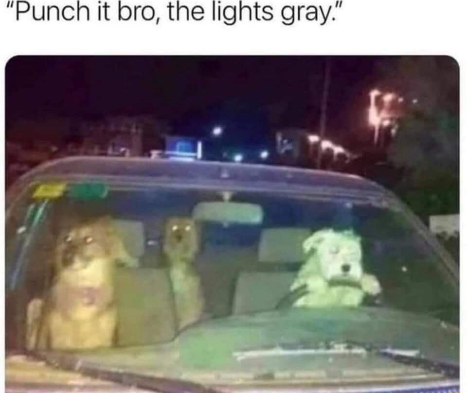 Punch it bro the lights gray