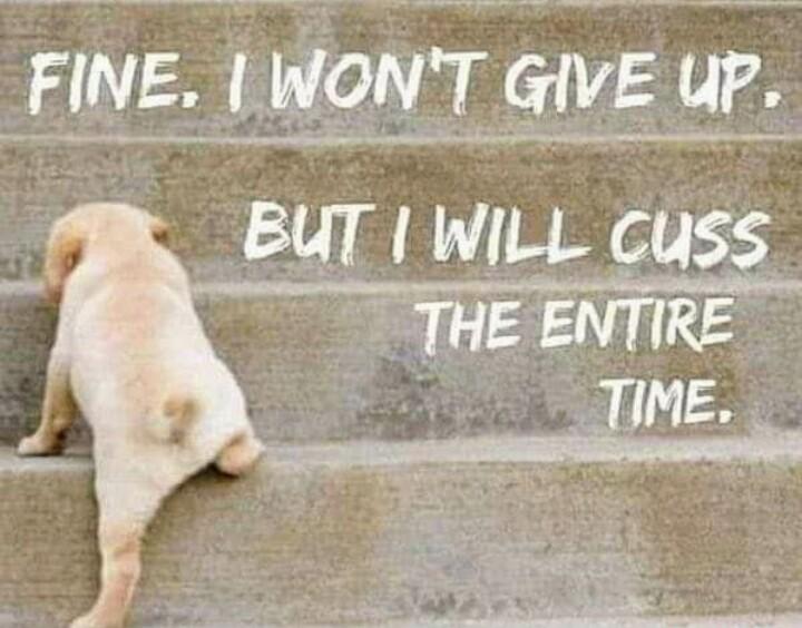 FINE WONT GIVE uP BUT WILL CUSS