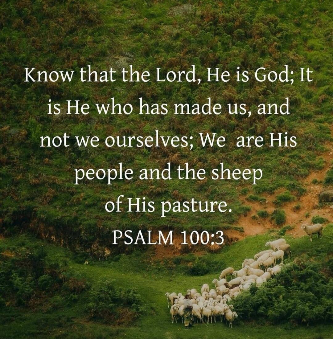 Know that the Lord, He is God; It is He who has made us, and not we ourselves; We are His people and the sheep of His pasture. PSALM 100:3