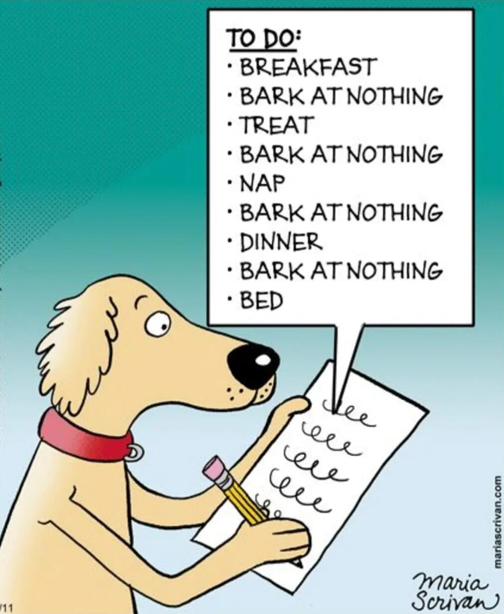 To po BREAKFAST BARK AT NOTHING TREAT BARK AT NOTHING NAP BARK AT NOTHING DINNER BARK AT NOTHING
