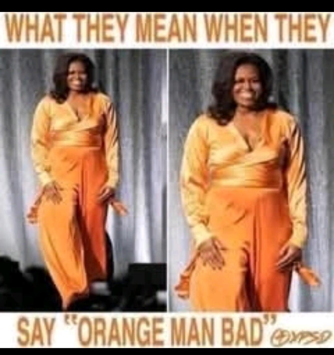 WHAT THEY MEAN WHEN THEY SAY 'ORANGE MAN BAD'