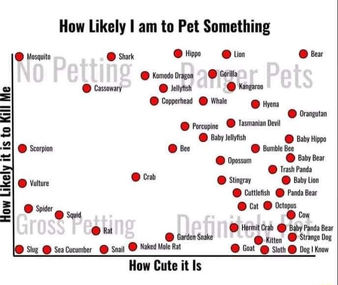 How Likely am to Pet Something st sk B iy il Cutiefsh Fanda Bear 00 i O g s o Hermit rab Baby PandaBear oy Grn ke oot St S Cocner_ s Noed et 6o Sos i ow How Cute it Is