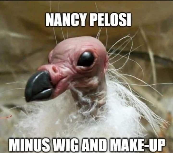 NANCY PELOSI