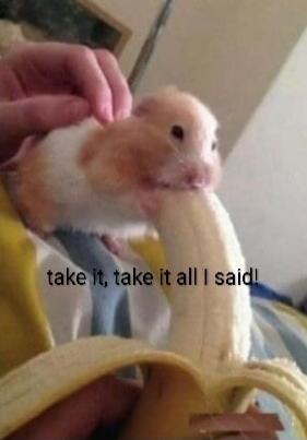 take it, take it all I said!