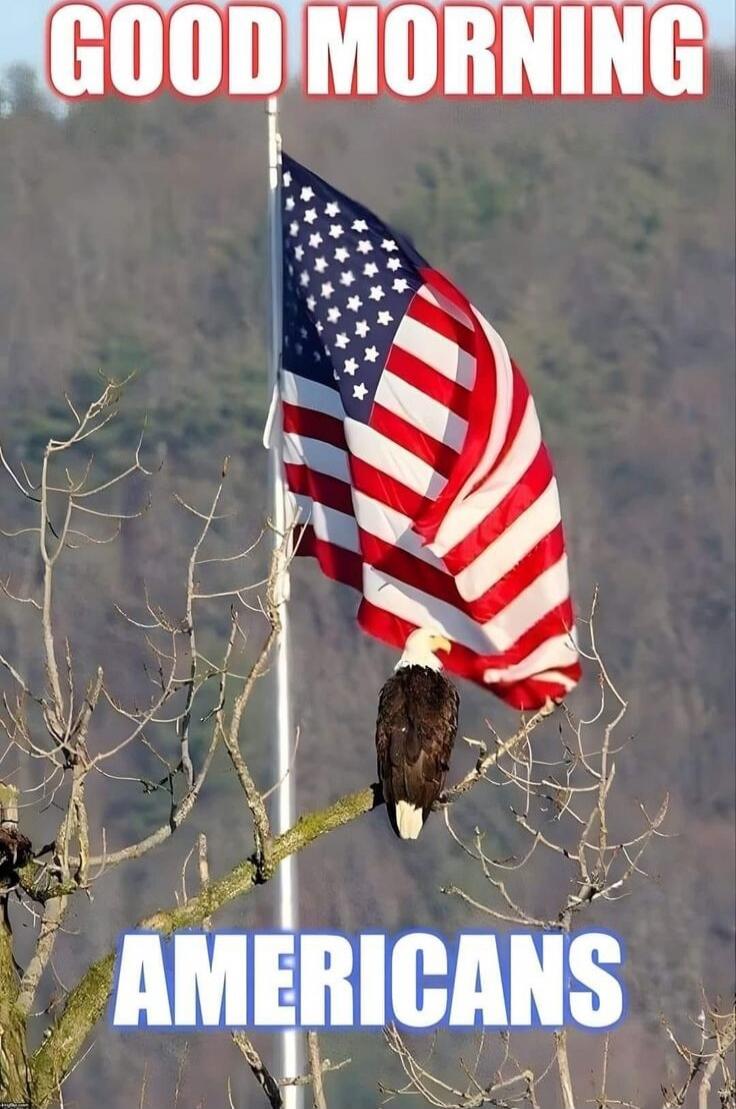 GOOD MORNING
AMERICANS