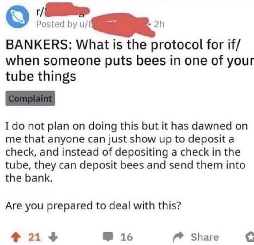 Q G Posted by u 2h BANKERS What is the protocol for if when someone puts bees in one of your tube things I do not plan on doing this but it has dawned on me that anyone can just show up to deposit a check and instead of depositing a check in the tube they can deposit bees and send them into the bank Are you prepared to deal with this 213 W 16 P Share C