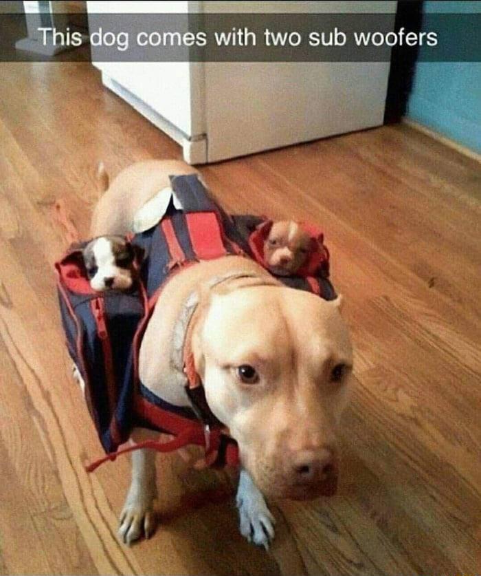 es with two sub woofers