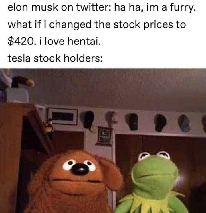 elon musk on twitter ha ha im a furry what if i changed the stock prices to 420 i love hentai tesla stock holders N