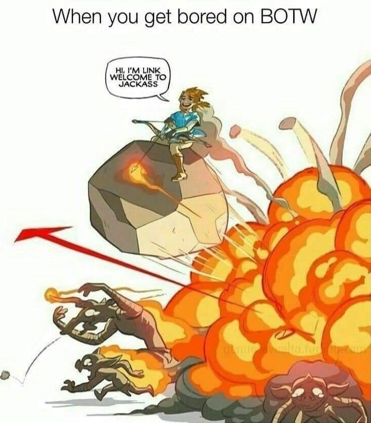 When you get bored on BOTW