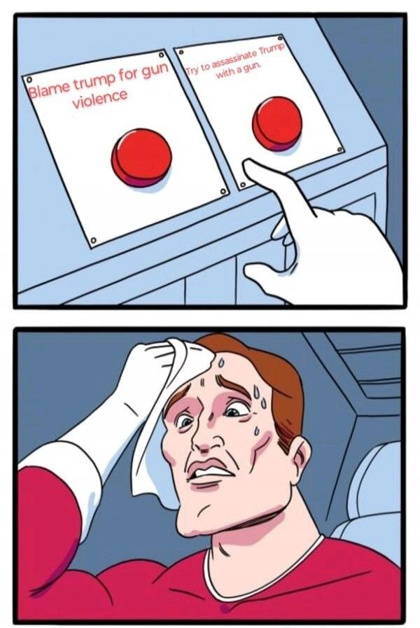 Blame Trump for gun violence. Try to assassinate Trump with a gun.