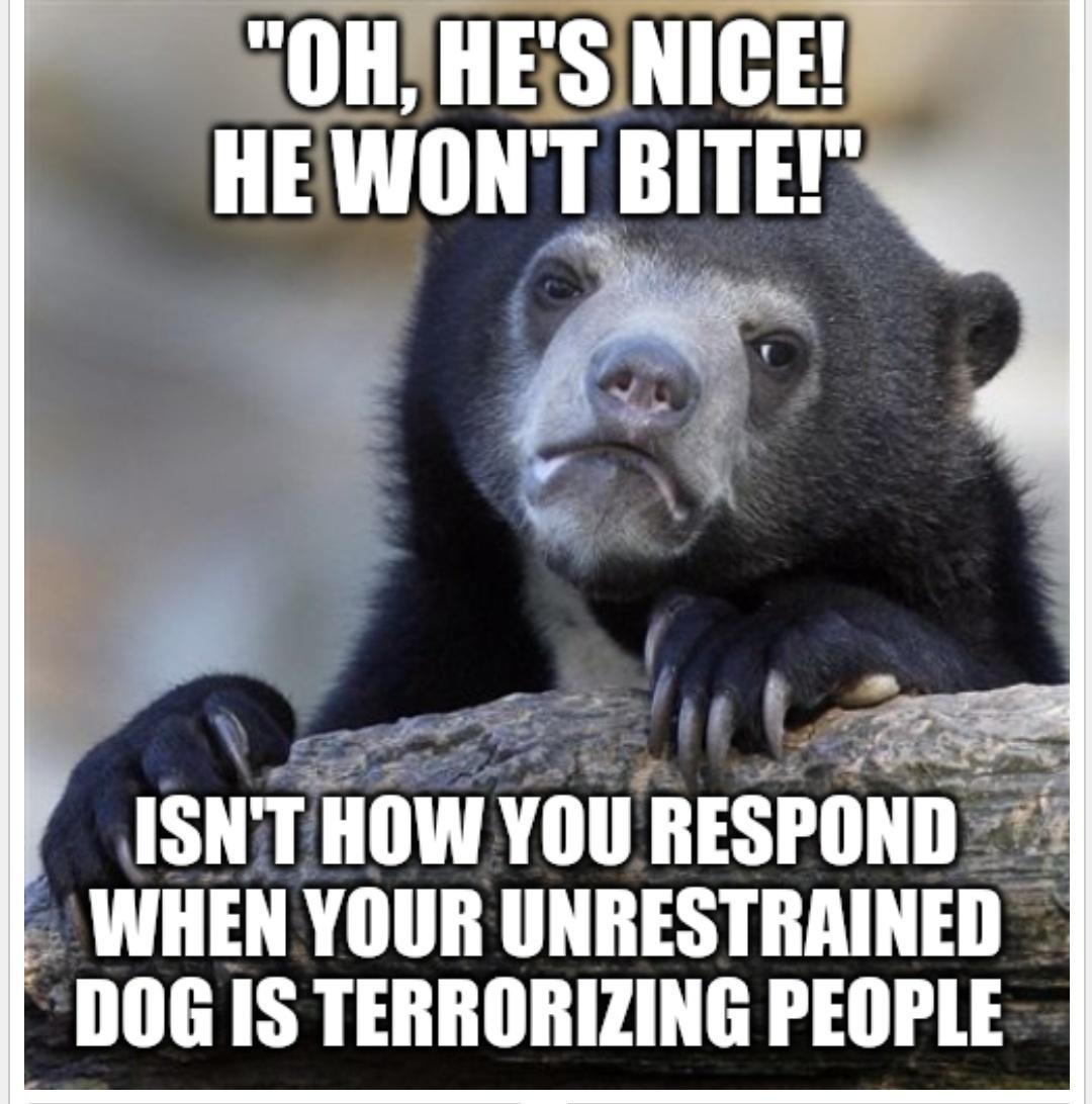 ISIII IIIIW YIIII RESPOND WHEN YOUR UNRESTRAINE DOG IS TERRORIZING PEOPLE