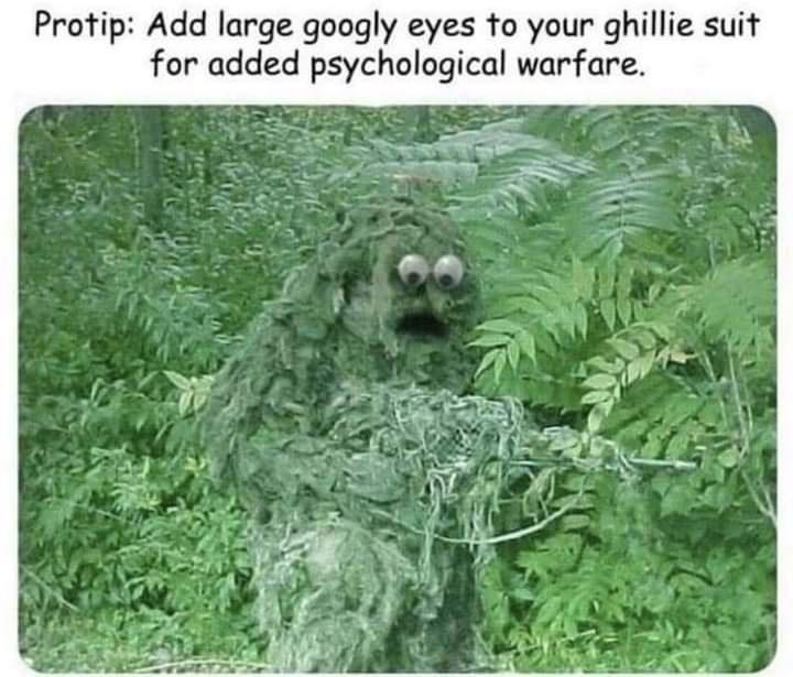 Protip Add large googly eyes to your ghillie suit for added psychological warfare