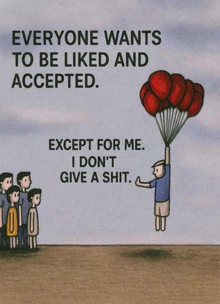 EVERYONE WANTS TO BE LIKED AND ACCEPTED. EXCEPT FOR ME. I DON'T GIVE A SHIT.