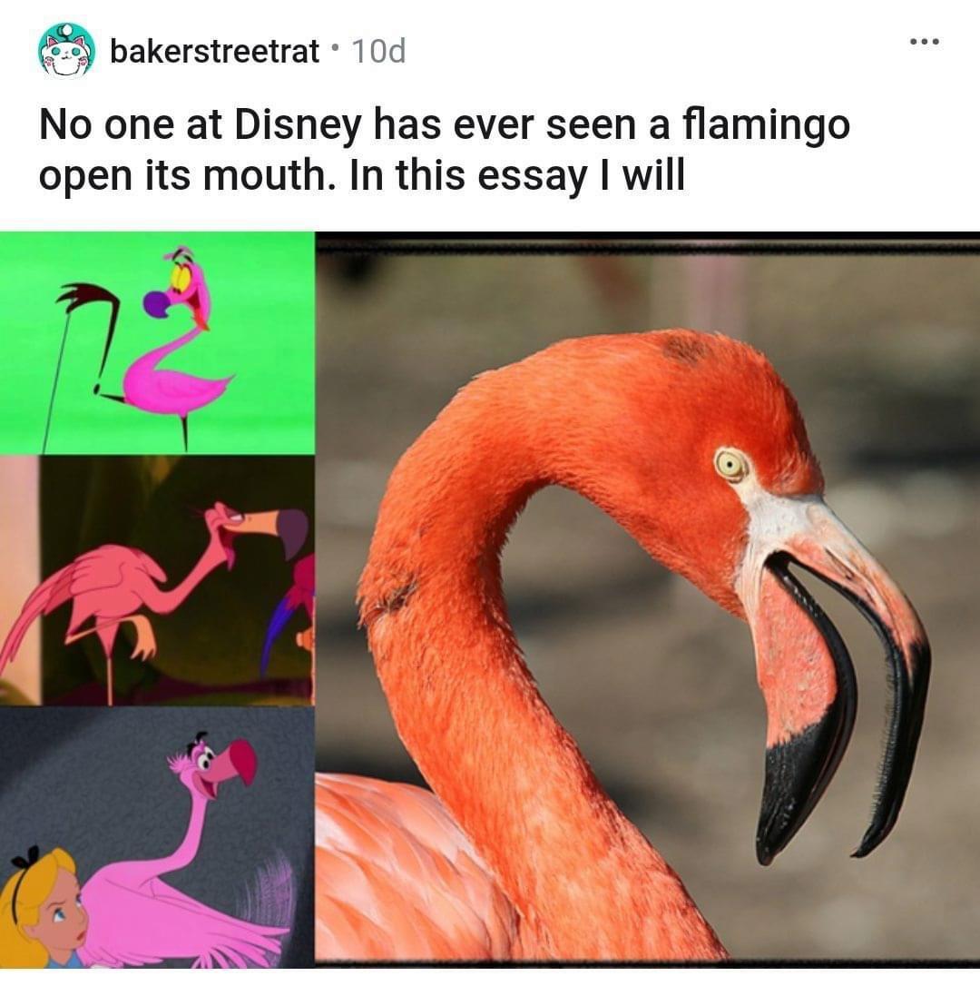 bakerstreetrat 10d No one at Disney has ever seen a flamingo open its mouth In this essay will