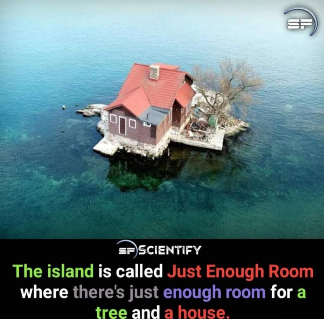 SPSCIENTIFY The island is called Just Enough Room where theres just enough room for a tree and a house