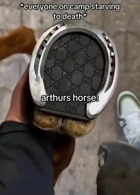 *everyone on camp starving to death* arthurs horse: