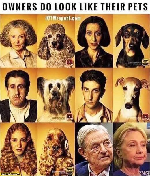 OWNERS DO LOOK LIKE THEIR PETS