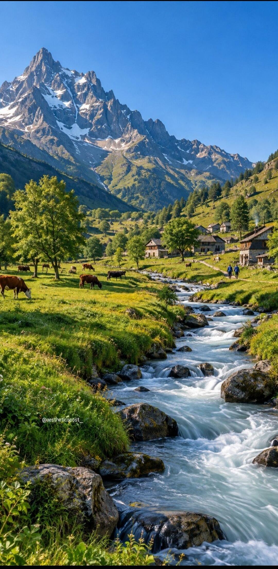 @aestheticspost_