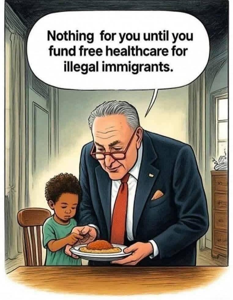 Nothing for you until you fund free healthcare for illegal immigrants.