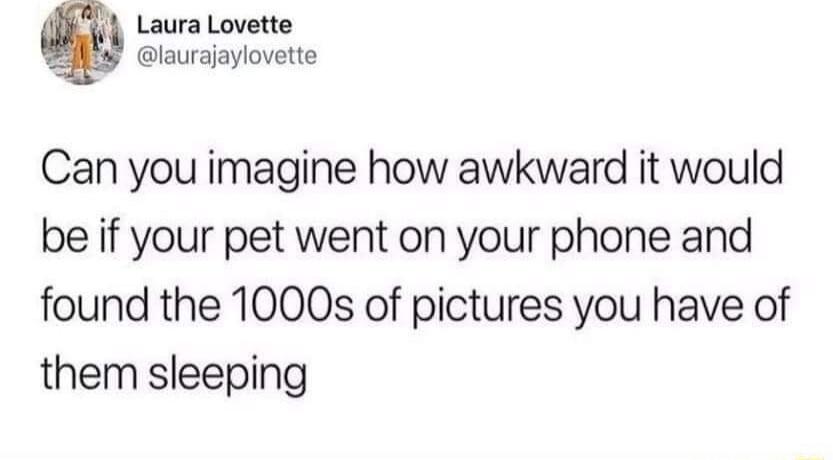 Laura Lovette laurajaylovette Can you imagine how awkward it would be if your pet went on your phone and found the 1000s of pictures you have of them sleeping