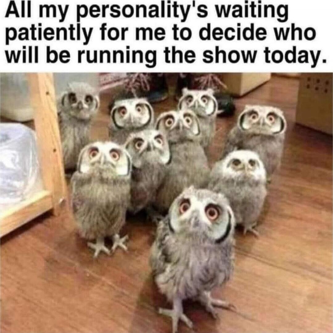 All my personality's waiting patiently for me to decide who will be running the show today.