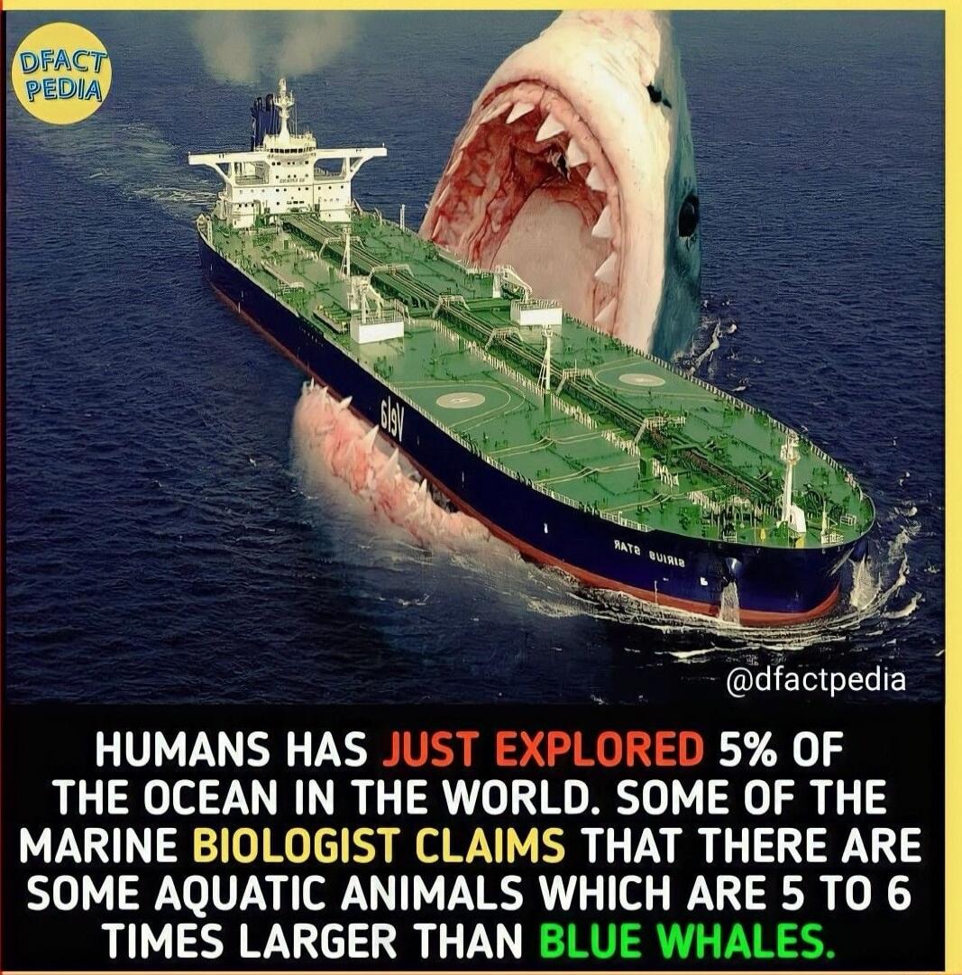 dfactpedia HUMANS HAS JUST EXPLORED 5 OF THE OCEAN IN THE WORLD SOME OF THE MARINE BIOLOGIST CLAIMS THAT THERE ARE SOME AQUATIC ANIMALS WHICH ARE 5 TO 6 TIMES LARGER THAN