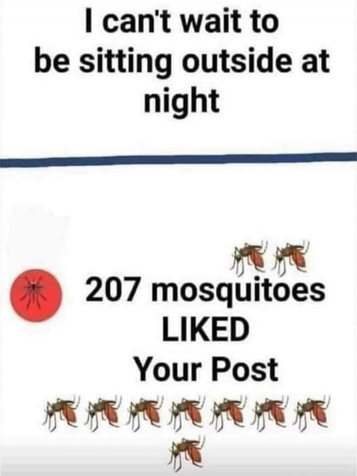 I can't wait to be sitting outside at night
207 mosquitoes LIKED Your Post
