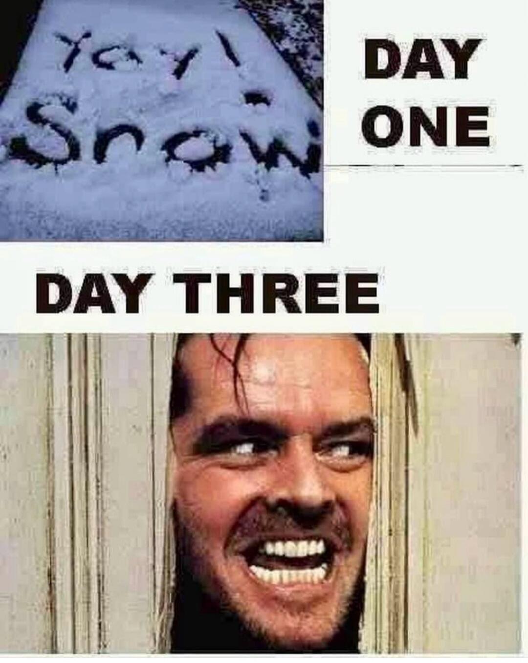 you! snow
DAY ONE
DAY THREE