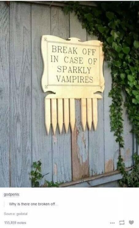 BREAK OFF IN CASE OF SPARKLY VAMPIRES
Why is there one broken off...