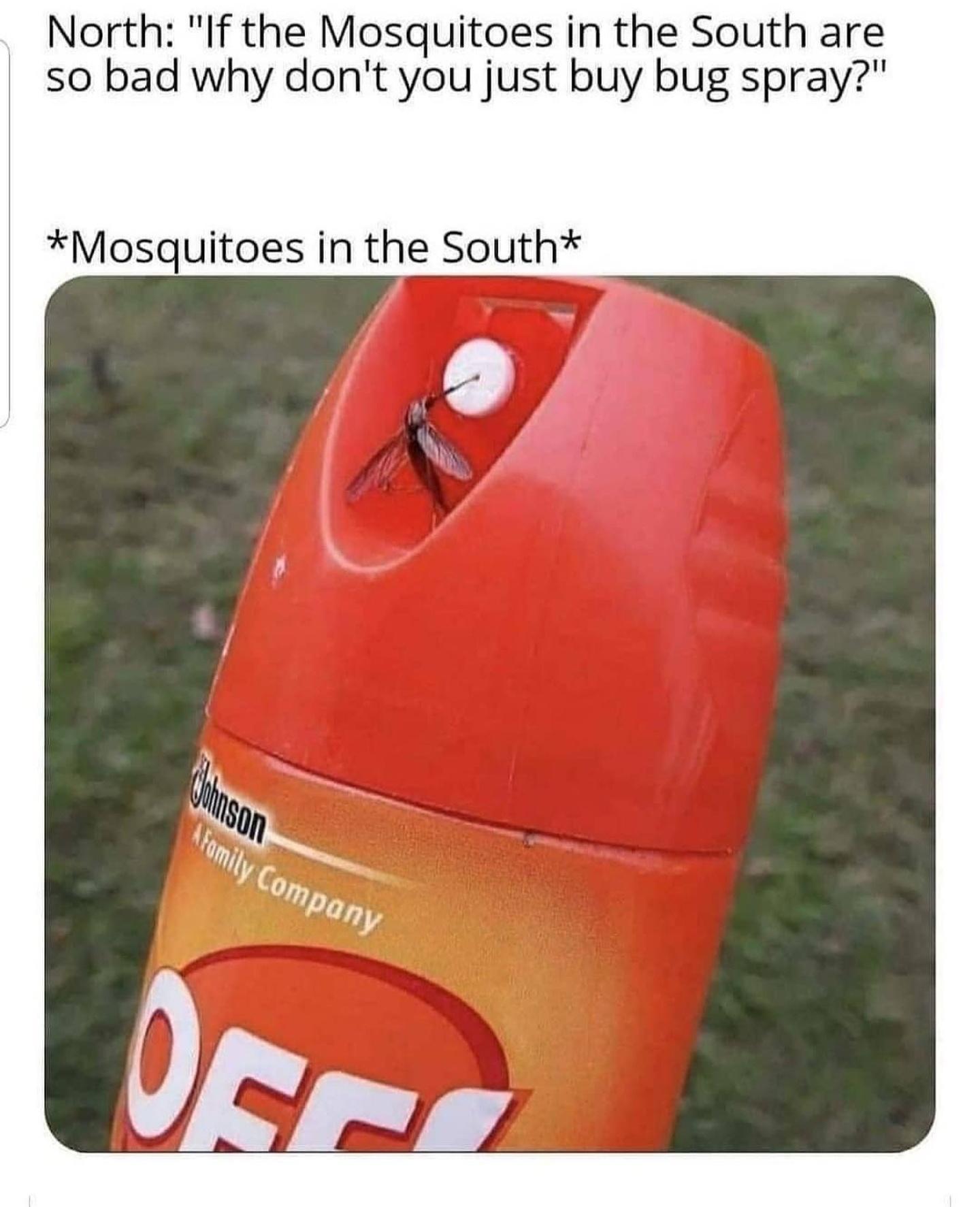 North If the Mosquitoes in the South are so bad why dont you just buy bug spray Mosquitoes in the South