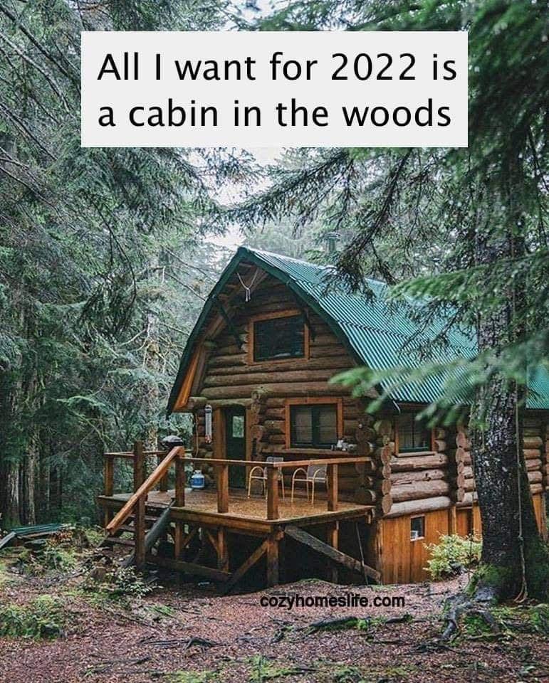 All want for 2022 is a cabin in the woods