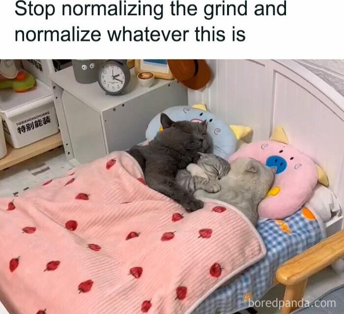 Stop normalizing the grind and normalize whatever this is