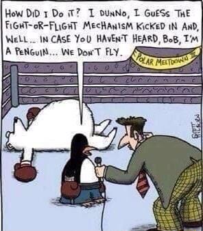 How DID 1 Do iT7 T DunNo T GuESs THE FIGHT oR FLIGHT MecHANISM KicKeD 1N AnD Well IN CASE Yol HAVENT HEARD BoB IM