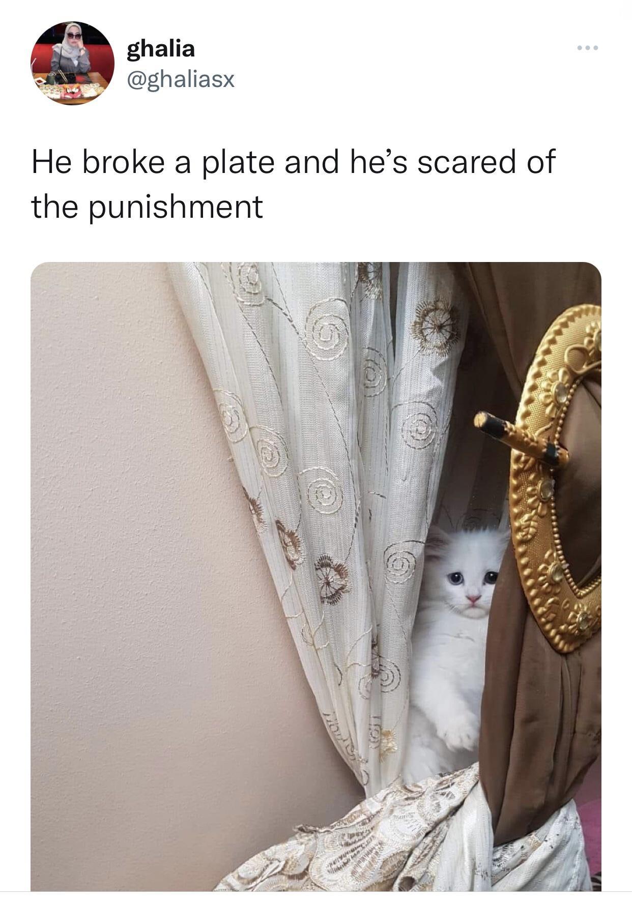 ghalia ghaliasx He broke a plate and hes scared of the punishment