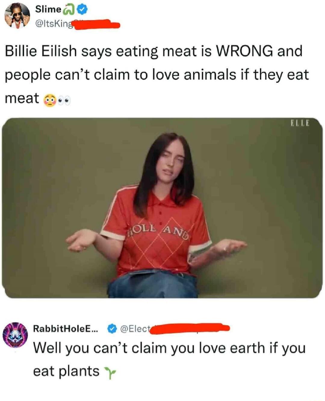 Billie Eilish says eating meat is WRONG and people can't claim to love animals if they eat meat. Well you can't claim you love earth if you eat plants.
