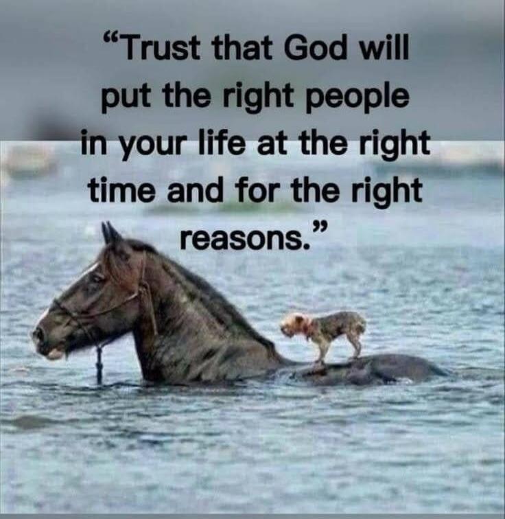 Trust that God will put the right people in your life at the right time and for the right reasons.