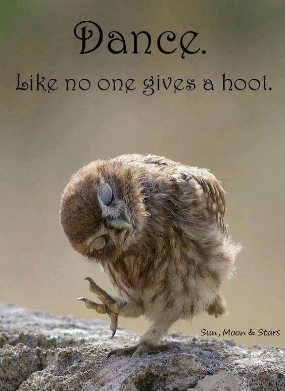 Dance. Like no one gives a hoot. Sun, Moon & Stars