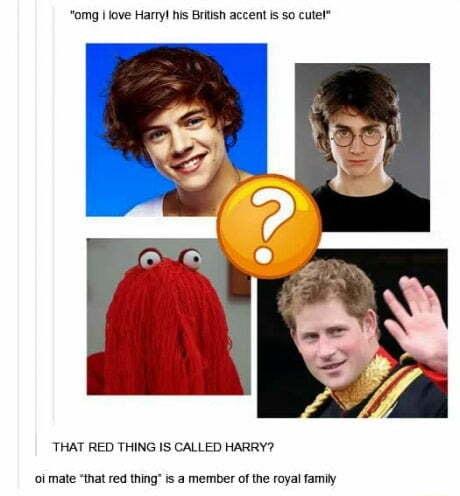omg love Harryl his British accent s so cutel THAT RED THING IS CALLED HARRY ol mate that red thing i a member of the royal famiy