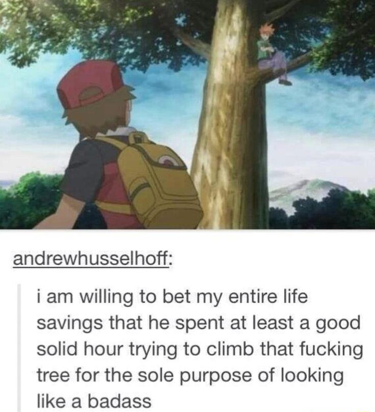 andrewhusselhoff i am willing to bet my entire life savings that he spent at least a good solid hour trying to climb that fucking tree for the sole purpose of looking like a badass