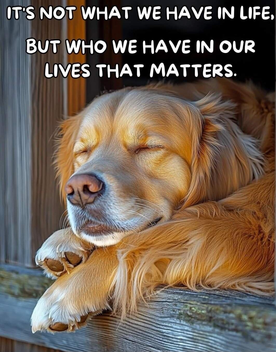 IT'S NOT WHAT WE HAVE IN LIFE, BUT WHO WE HAVE IN OUR LIVES THAT MATTERS.