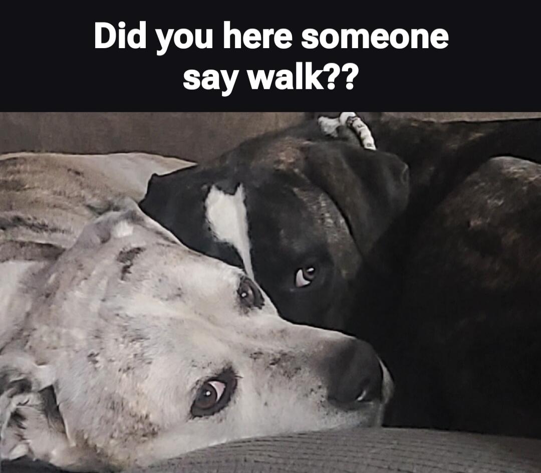 Did you here someone say walk??