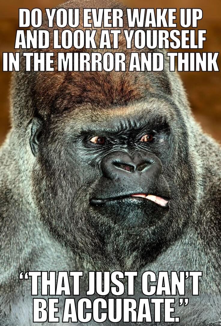 DO YOU EVER WAKE UP AND LOOK AT YOURSELF IN THE MIRROR AND THINK
