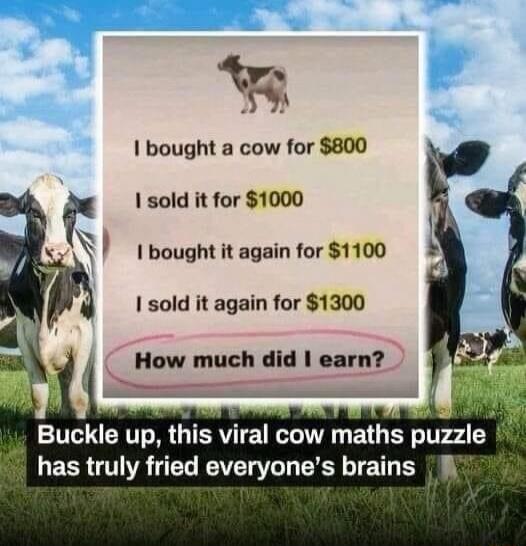 F bought a cow for 800 1 sold it for 1000 I bought it again for 1100 I sold it again for 1300 How much did ear Buckle up this iral cow maths puzzle S EER TR L EVEL TG DL TE T R S
