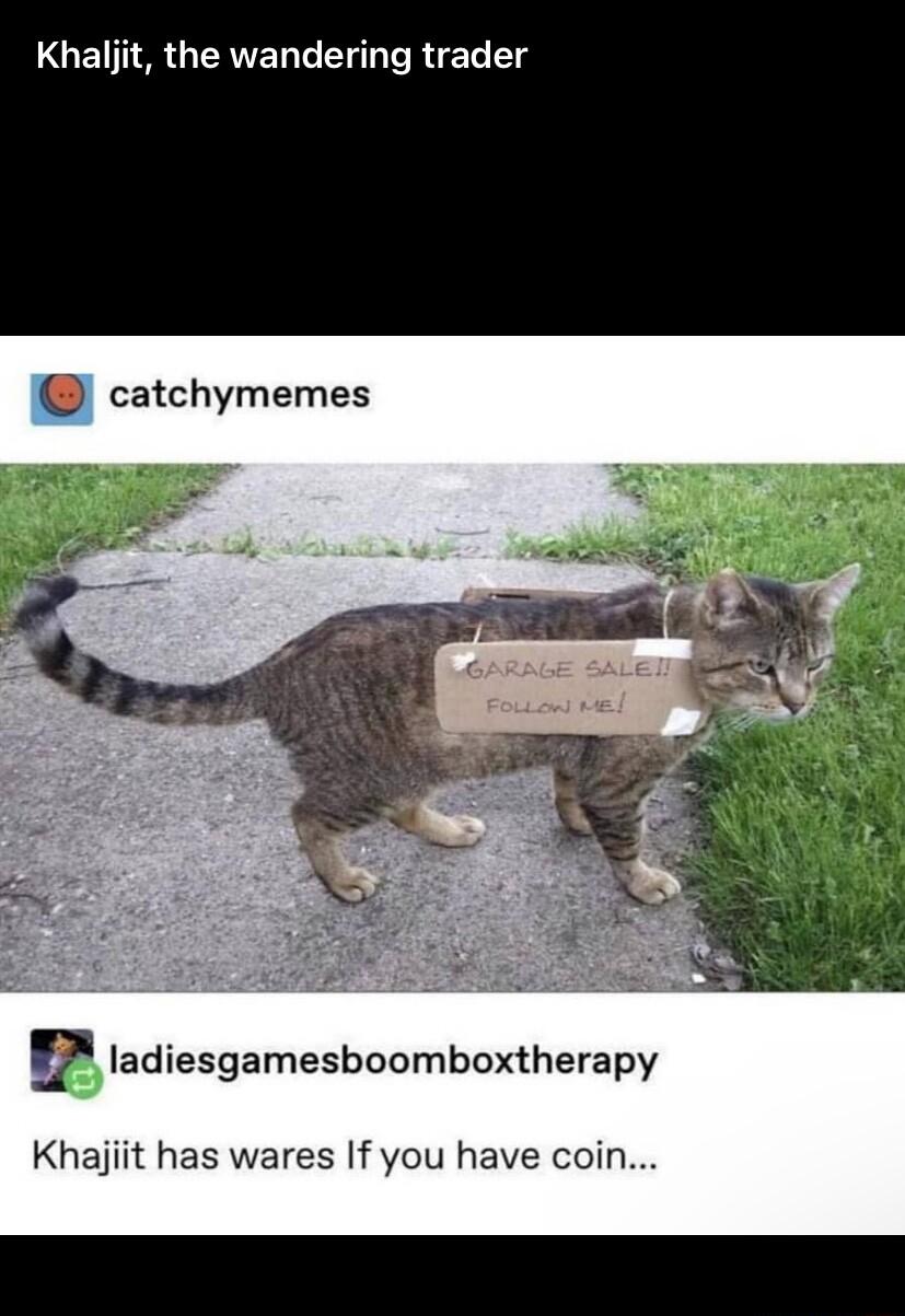 LGEUNAGERTED G R T catchymemes _F ladiesgamesboomboxtherapy Khajiit has wares If you have coin