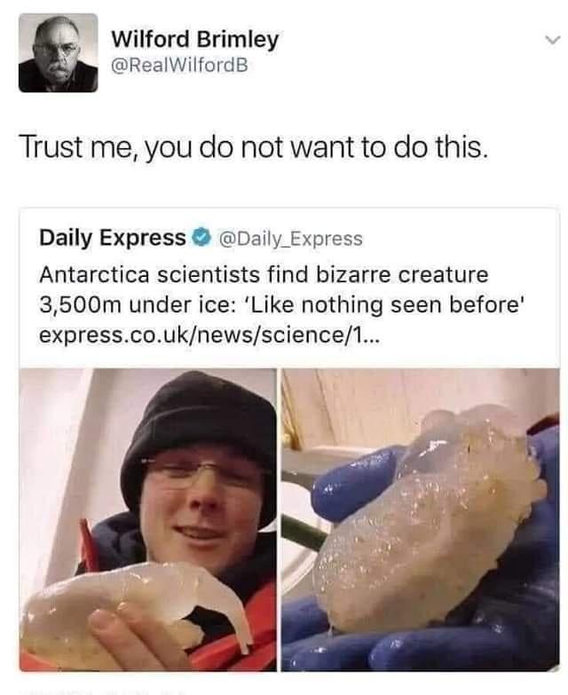 Wilford Brimley A RealWilfordB Trust me you do not want to do this Daily Express Daily Express Antarctica scientists find bizarre creature 3500m under ice Like nothing seen before expresscouknewsscience1