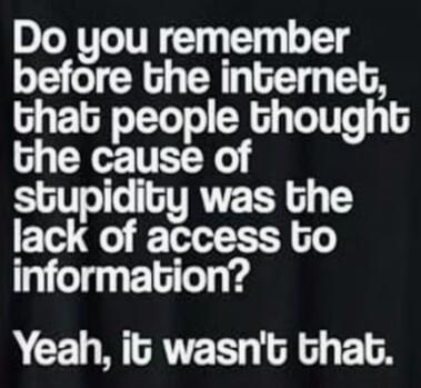 Do you remember before the internet, that people thought the cause of stupidity was the lack of access to information? Yeah, it wasn't that.