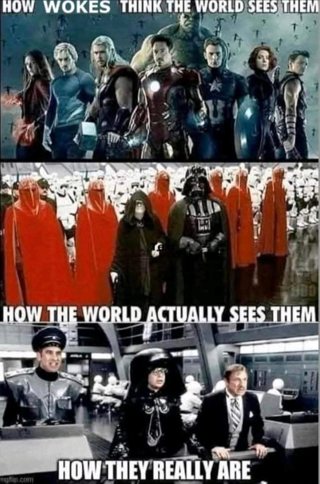 HOW WOKES THINK THE WORLD SEES THEM\nHOW THE WORLD ACTUALLY SEES THEM\nHOW THEY REALLY ARE