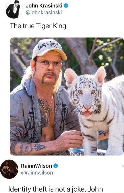 T John Krasinski L johnkrasinski The true Tiger King RainnWilson rainnwilson dentity theft is not a joke John