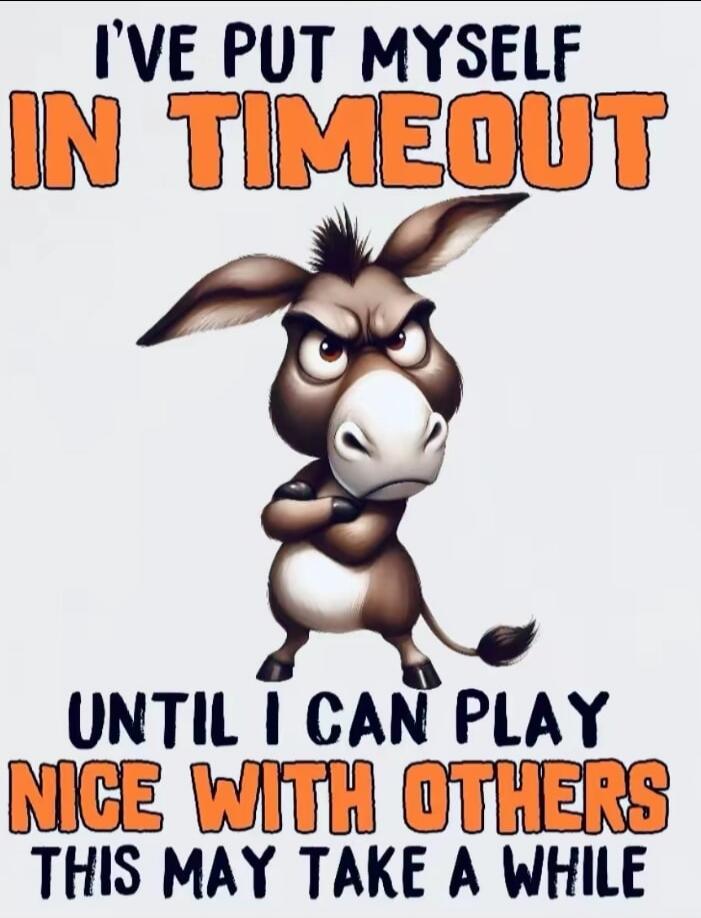 I'VE PUT MYSELF IN TIMEOUT UNTIL I CAN PLAY NICE WITH OTHERS THIS MAY TAKE A WHILE